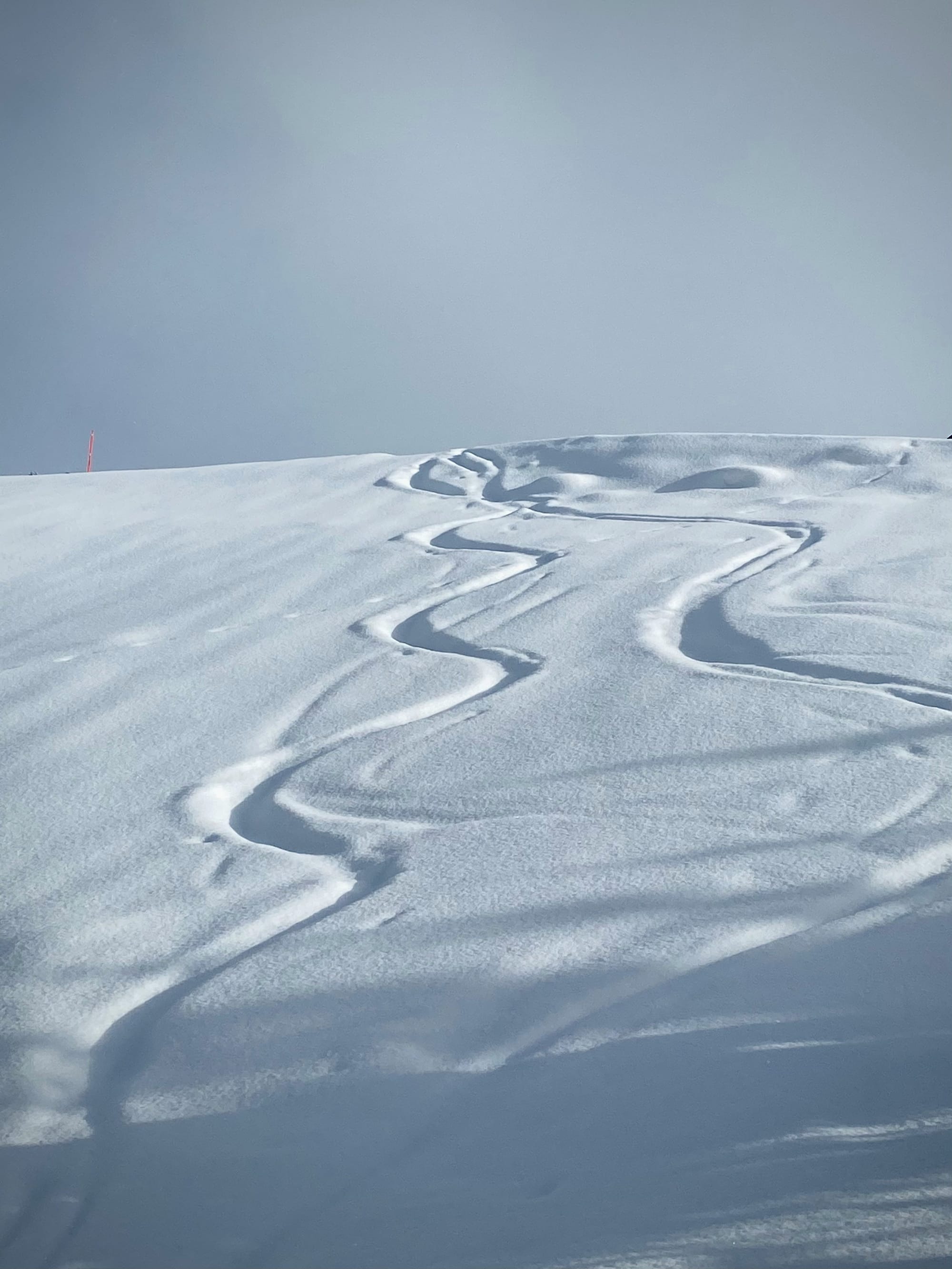 Snowmobile Track Length vs Float: 137" vs 146" vs 154" for Mountain vs Trail vs Deep Powder