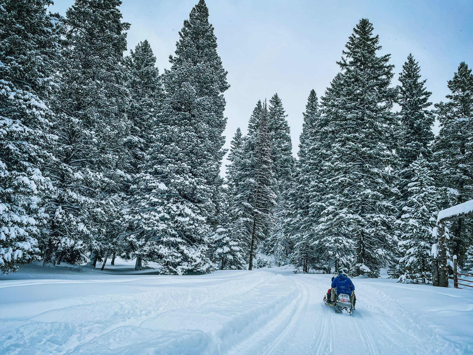 Mountain Paddle Track Dynamics: 2.6" vs 3.0" Lug Flotation in Continental Snowpack